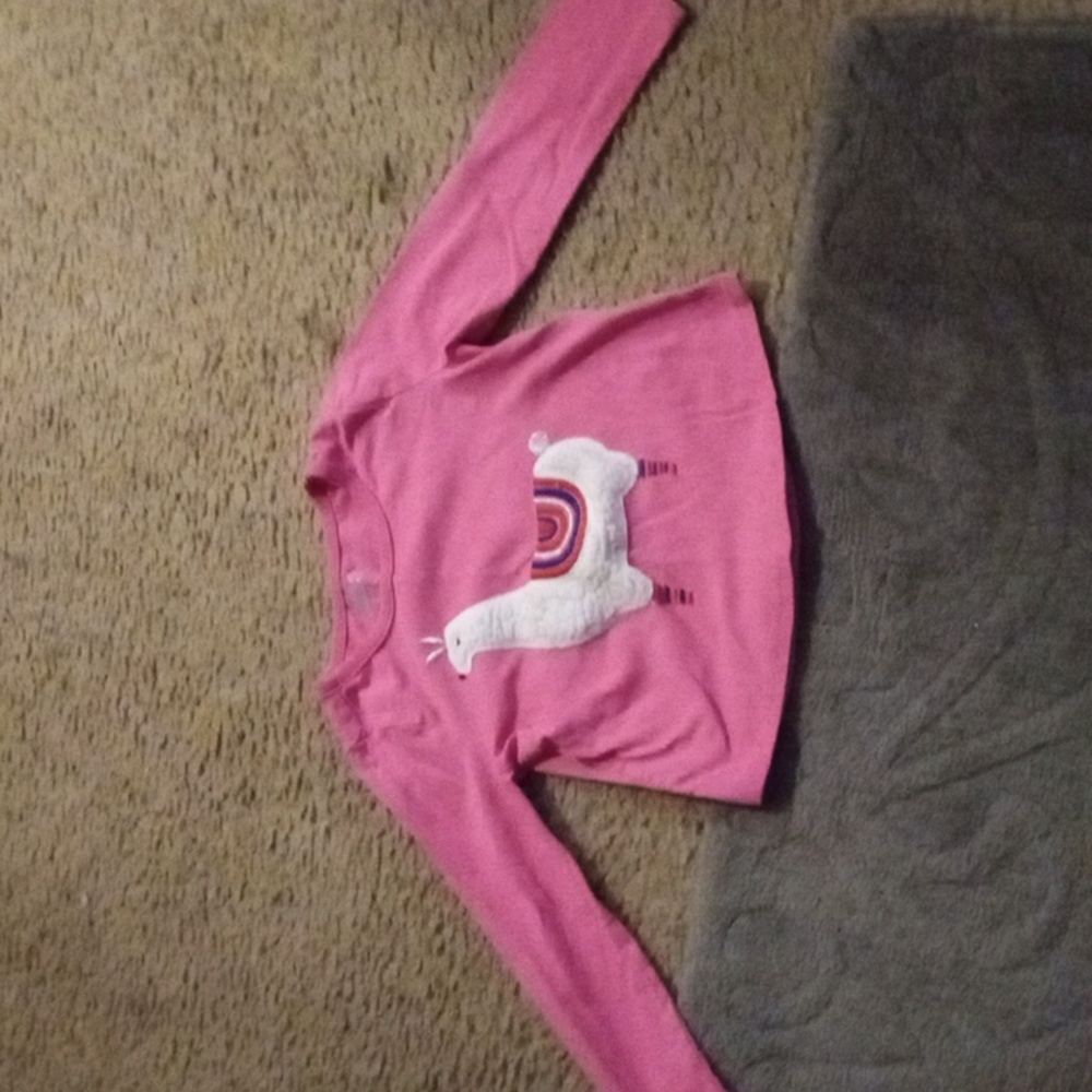 Toddler's  *Pink Llama* Long sleeve Shirt